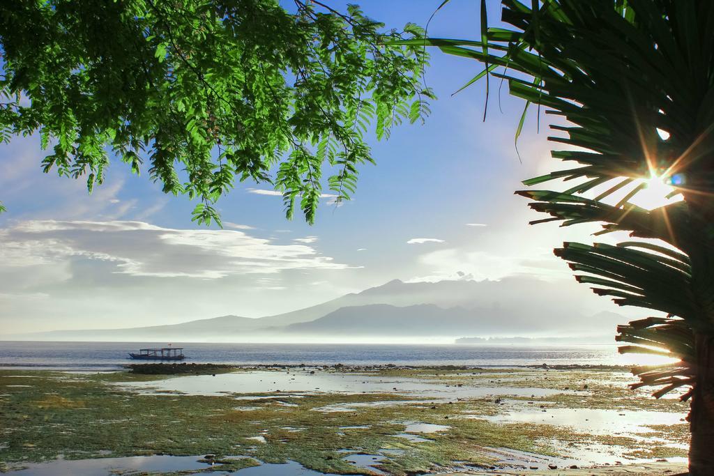 Resort Kaluku Gili Gili Air